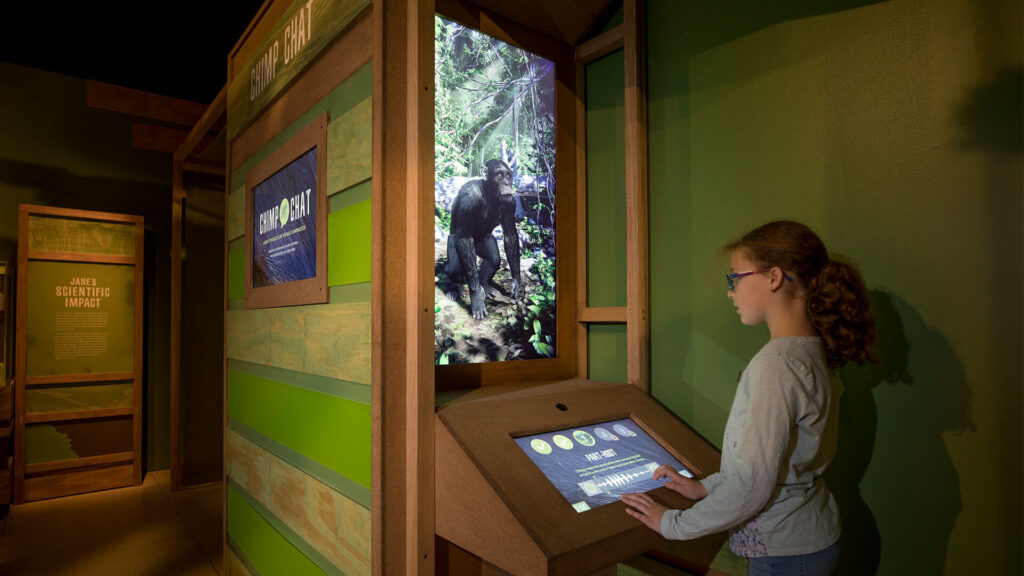 Chimp Chat at Dr. Jane Goodall museum exhibit