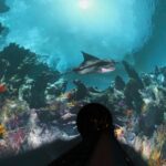 Manta Roller Coaster Media Tunnel