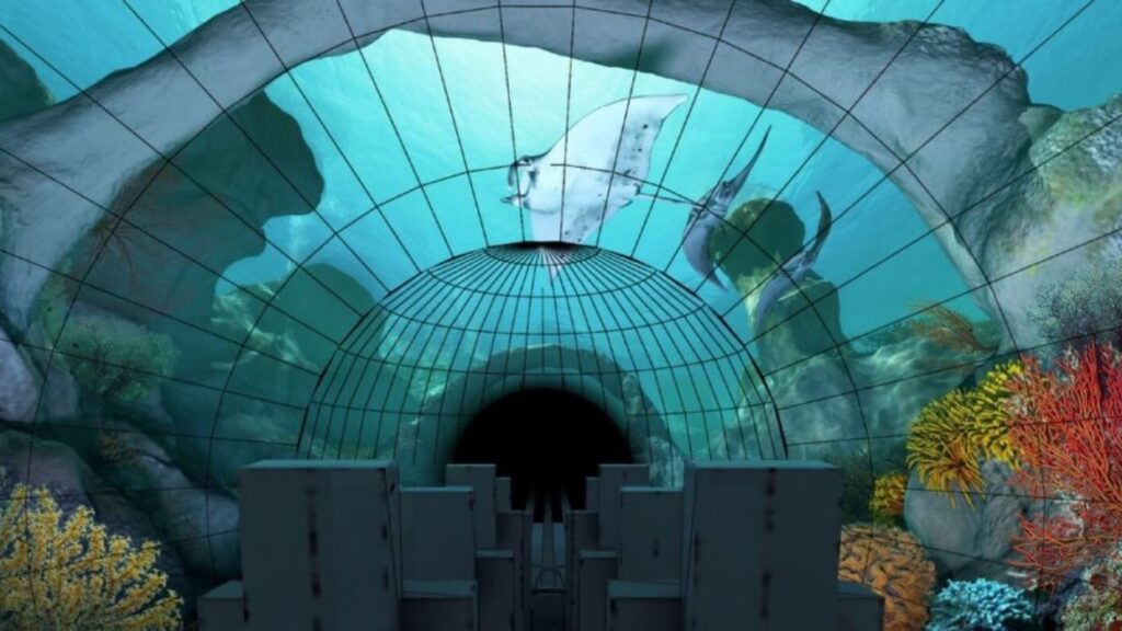 Manta Roller Coaster Media Tunnel at SeaWorld