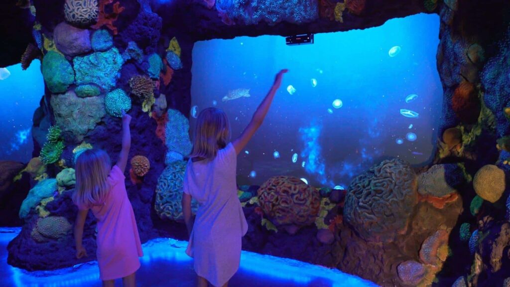 Interactives at National Geographic Encounter Ocean Odyssey