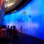 Virtual Aquarium in Macao