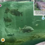 Brevard Zoo Pacu AR Experience